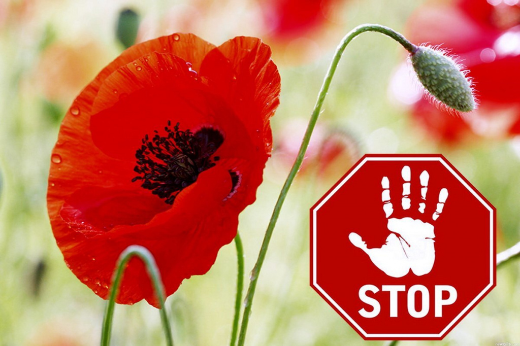 h3z968if7w1hsef60lwbchjsgvnpayig.jpg h3z968if7w1hsef60lwbchjsgvnpayig.jpg