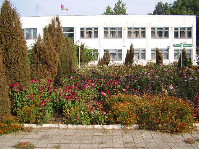 P9150007.JPG